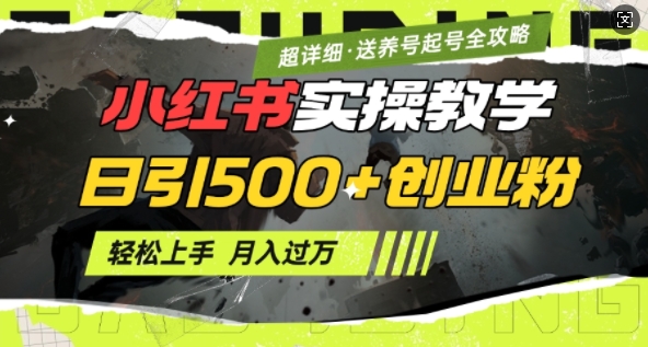 2月小红书最新日引500+创业粉实操教学【超详细】小白轻松上手，月入1W+，附小红书养号起号SOP-立刻分享网创平台