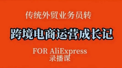 跨境电商速卖通运营课，​运营方法论+后台实操，逻辑清晰-立刻分享网创平台