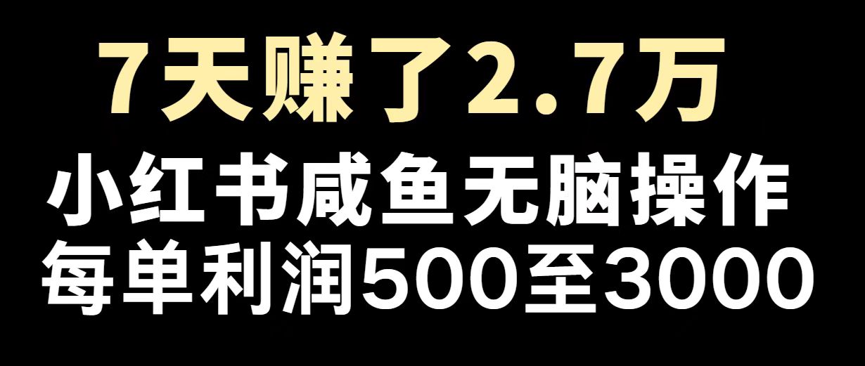 最赚钱项目之一，2025爆火，逆风翻盘！-立刻分享网创平台