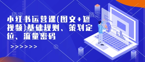 小红书运营课(图文+短视频)基础规则、策划定位、流量密码-立刻分享网创平台
