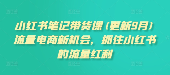 小红书笔记带货课(更新25年2月)流量电商新机会，抓住小红书的流量红利-立刻分享网创平台