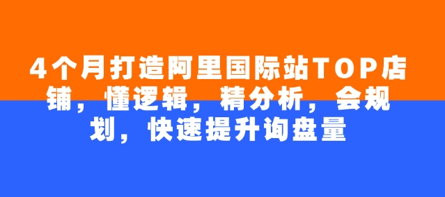 4个月打造阿里国际站TOP店铺，懂逻辑，精分析，会规划，快速提升询盘量-立刻分享网创平台