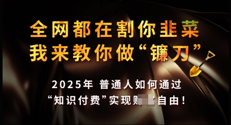 知识付费如何做到月入过W+，2025我来教你做“镰刀”【揭秘】-立刻分享网创平台
