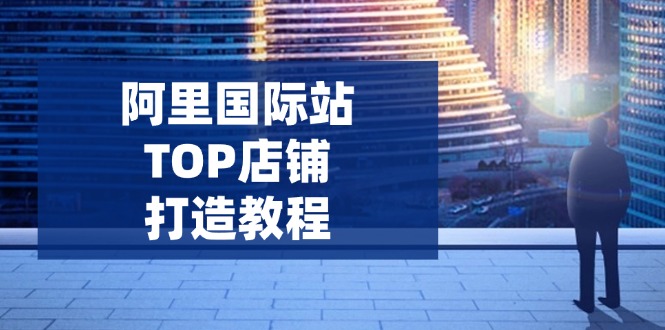 阿里国际站TOP店铺打造教程：涵盖平台到高阶，解决运营难题，提升询盘-立刻分享网创平台