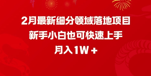 2月最新细分领域落地项目，新手小白也可快速上手，月入1W-立刻分享网创平台