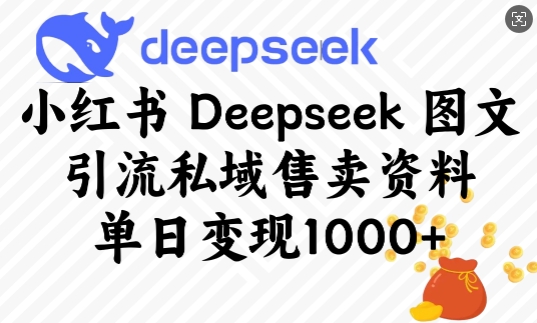 小红书Deepseek图文引流私域售卖资料，单日变现多张-立刻分享网创平台