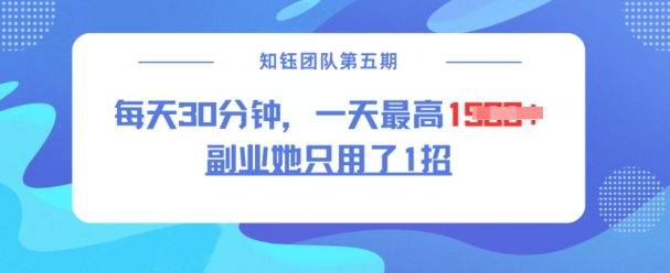 副业她只用了1招，每天30分钟，无脑二创，一天最高1.5k-立刻分享网创平台