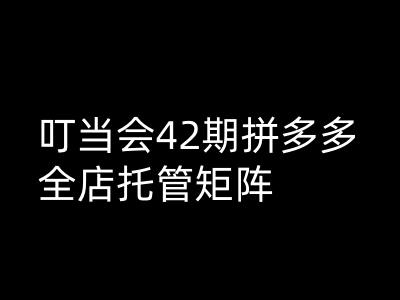 叮当会拼多多打爆班原创高阶技术第42期，拼多多全店托管矩阵-立刻分享网创平台