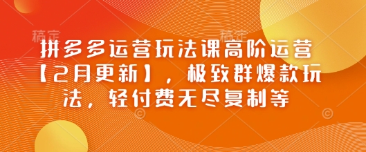 拼多多运营玩法课高阶运营【2月更新】，极致群爆款玩法，轻付费无尽复制等-立刻分享网创平台