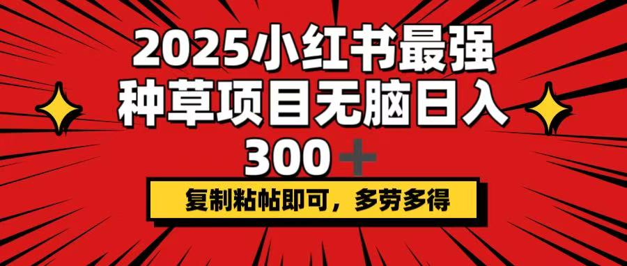 2025小红书最强种草项目，无脑日入300+，复制粘帖即可，多劳多得-立刻分享网创平台