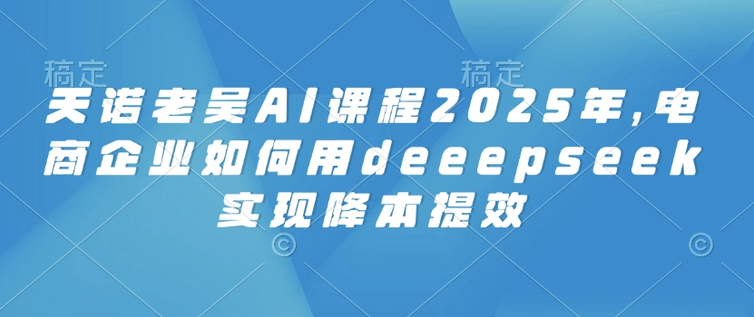 天诺老吴AI课程2025年，电商企业如何用deeepseek实现降本提效-立刻分享网创平台