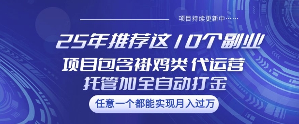25年推荐这10个副业项目包含褂鸡类、代运营托管类、全自动打金类【揭秘】-立刻分享网创平台