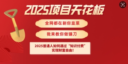 2025项目天花板普通人如何通过知识付费，实现财F自由【揭秘】-立刻分享网创平台