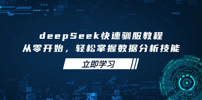deepSeek快速驯服教程，从零开始，轻松掌握数据分析技能-立刻分享网创平台