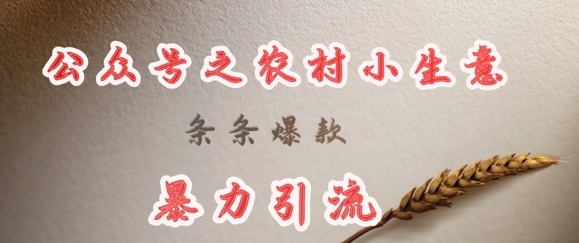 deepseek写农村小项目，条条爆款，暴力引流-立刻分享网创平台