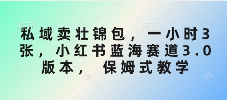 私域卖壮锦包，一小时3张，小红书蓝海赛道3.0版本， 保姆式教学-立刻分享网创平台