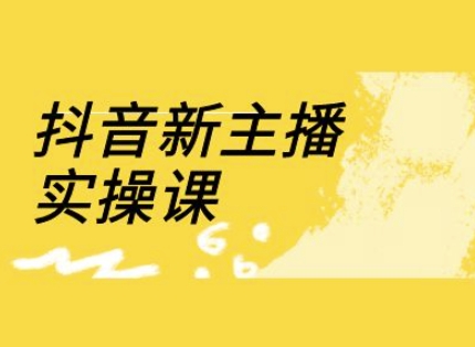 抖音新主播实操课，直播间流量运营线上实操课(18节)-立刻分享网创平台