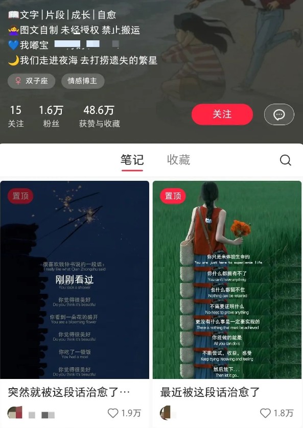 小红书治愈文案图文笔记，零门槛，一分钟制作轻松制作爆款作品月入万元-立刻分享网创平台