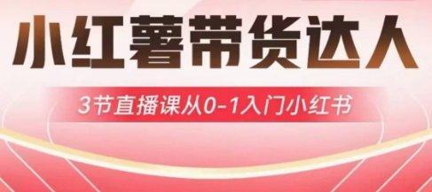 小红薯达人带货启航计划，3节直播课从0-1入门小红书-立刻分享网创平台