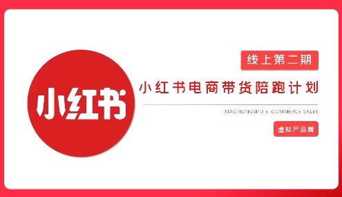 2025小红书虚拟电商实战课，从0到1打造无货源店铺，AI+爆款笔记轻松变现-立刻分享网创平台