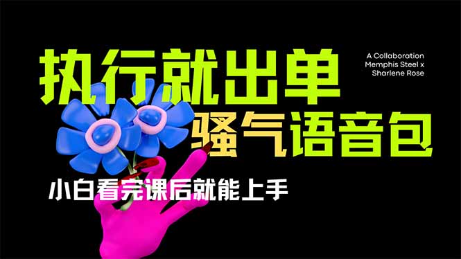 爆火全网的开车导航骚气语音包,只要执行就出单，小白看完课程就能实操…-立刻分享网创平台