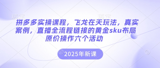 拼多多实操课程，飞龙在天玩法，真实案例，直播全流程链接的黄金sku布局原价操作六个活动-立刻分享网创平台
