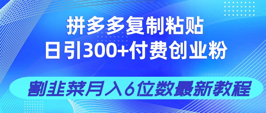 拼多多复制粘贴日引300+付费创业粉，割韭菜月入6位数最新教程！-立刻分享网创平台
