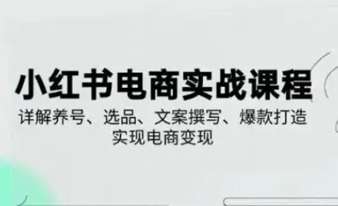 小红书从0-1实操课(2023-2025)，详解养号、选品、文案撰写、爆款打造实现电商变现-立刻分享网创平台