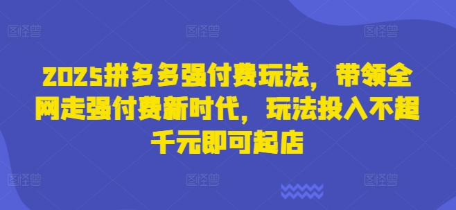 2025拼多多强付费玩法，带领全网走强付费新时代，玩法投入不超千元即可起店-立刻分享网创平台
