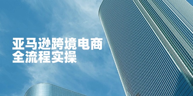 亚马逊跨境电商全流程实操，教你从零开始，掌握店铺运营与广告技巧-立刻分享网创平台