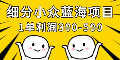 细分小众蓝海项目，一单利润3张，每月收入稳定过1w+-立刻分享网创平台