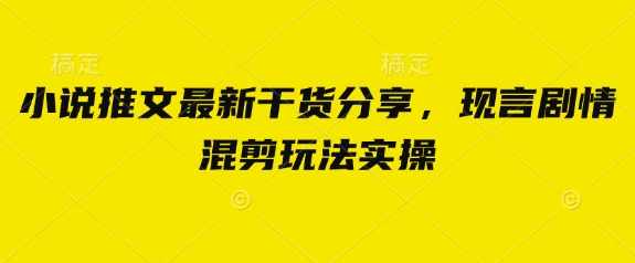 小说推文最新干货分享，现言剧情混剪玩法实操-立刻分享网创平台