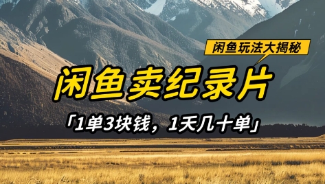 闲鱼卖纪录片1单3块钱，1天几十单，项目稳定有潜力-立刻分享网创平台
