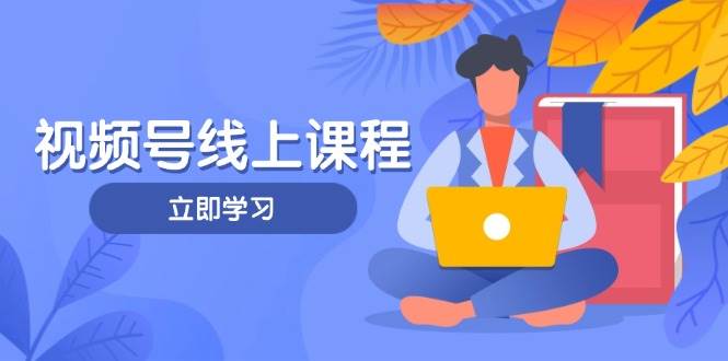 视频号实战课程，轻IP打造与运营技巧，掌握核心方法与策略-立刻分享网创平台