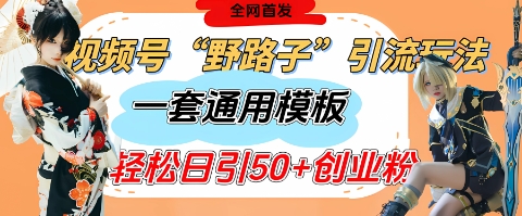 视频号“野路子”玩法，评论区疯狂截流，一套模板单日单号引流50+创业粉-立刻分享网创平台
