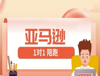亚马逊1对1陪跑课(FBA/FBM精铺)跨境亚马逊教程-立刻分享网创平台