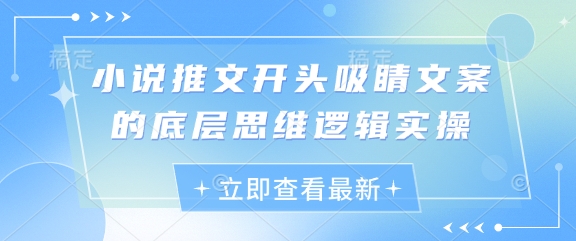 小说推文开头吸睛文案的底层思维逻辑实操-立刻分享网创平台