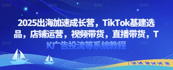 2025出海加速成长营，TikTok基建选品，店铺运营，视频带货，直播带货，TK广告投流等系统教程-立刻分享网创平台