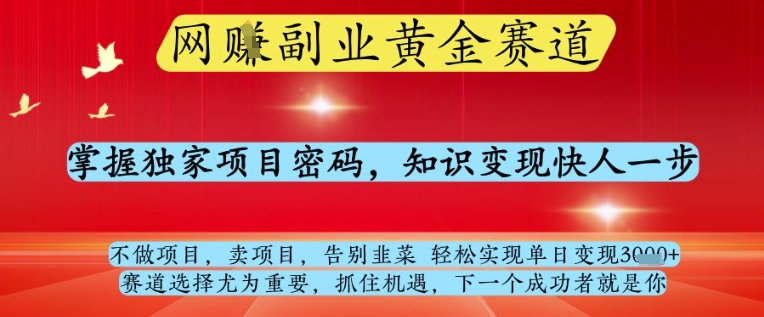 网创副业黄全赛道，掌握独家项目密码，知识变现快人一步，告别韭菜轻松实现单日变现1k+【揭秘】-立刻分享网创平台