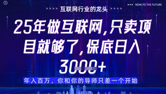 什么！25年你还在找项目做？风口早就变了，卖项目才是稳挣不赔【揭秘】-立刻分享网创平台