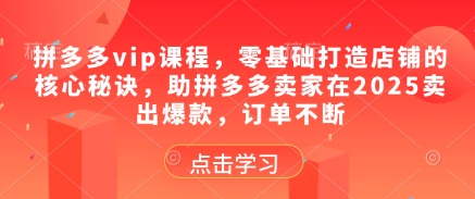 拼多多vip课程，零基础打造店铺的核心秘诀，助拼多多卖家在2025卖出爆款，订单不断-立刻分享网创平台