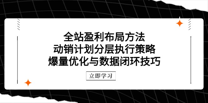 全站盈利布局方法：动销计划分层执行策略，爆量优化与数据闭环技巧-立刻分享网创平台