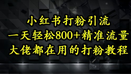 小红书打粉引流，一天轻松500+精准流量，大佬都在用的打粉教程-立刻分享网创平台