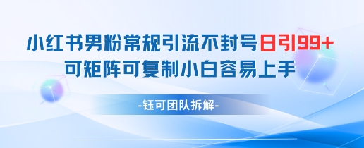 小红书男粉常规引流不封号日引99+变现简单 可矩阵可复制小白容易上手-立刻分享网创平台