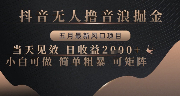 抖音无人撸音浪掘金，五月最新风口项目，当天见效，日收益多张，小白可做简单粗暴可矩阵【揭秘】-立刻分享网创平台