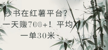 抄书在小红薯平台？平均一单30米，一天收益几张！-立刻分享网创平台