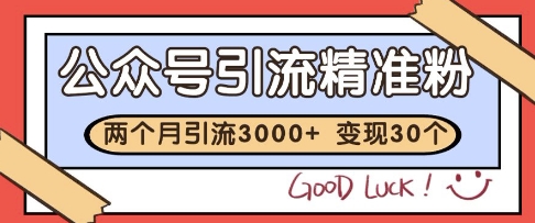 公众号精准粉引流玩法，2个月3000+精准粉，变现30个W【揭秘】-立刻分享网创平台