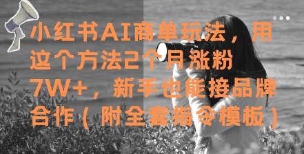 小红书AI商单玩法，用这个方法2个月涨粉7W+，新手也能接品牌合作(附全套指令模板)-立刻分享网创平台