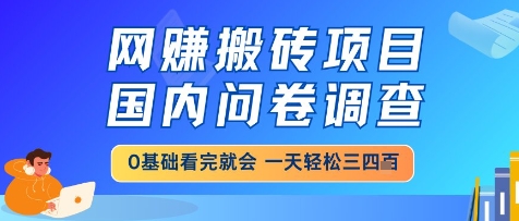 网创搬砖项目，国内问卷调查，小白轻松上手，一天三四张的也不难，干就完了【揭秘】-立刻分享网创平台