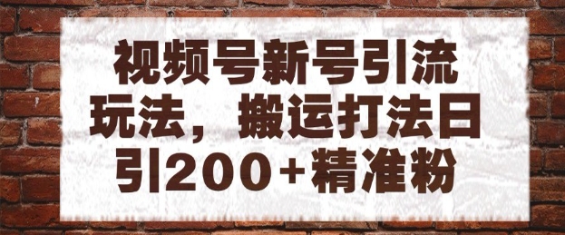 视频号新号引流玩法，搬运打法日引200+精准粉，可矩阵放大【揭秘】-立刻分享网创平台